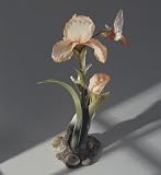 Allen's Hummingbird with Hurricane Lamp Iris