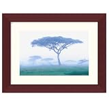 Acacia Trees, Tanzania