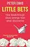 Little Bets: How Breakthrough Ideas Emerge from Small Discoveries