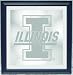 Illinois Fighting Illini 20 x 18.5 Framed Wall Mirror NCAA College Athletics Fan Shop Sports Team Merchandise
