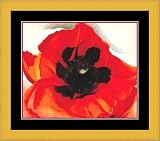 Poppy by Georgia OKeeffe - Framed Artwork