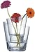 menu Galerie Vase