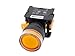 Alpinetech LXG-22 22mm 1NO Momentary Push Button Switch 110V LED Illuminated (Yellow)