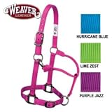 Weaver Graphite Nylon Halter Avg Hurricane Blue
