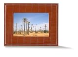 Parrot 7-Inch Digital Photo Frame (Sunset Salamander)