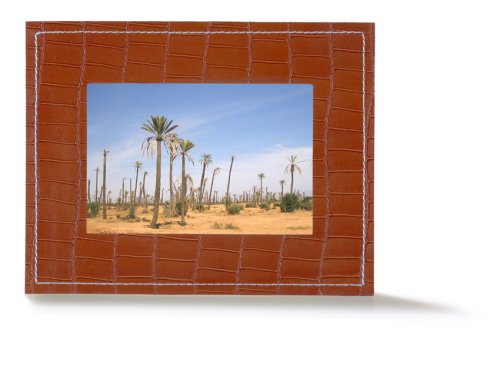 Parrot 7-Inch Digital Photo Frame (Sunset Salamander)