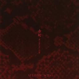 赤蛇-君と見た赤の記憶-