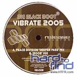Vibrate 2005 [12" VINYL]