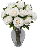 One Dozen Long Stem White Roses without Vase