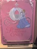 Disney Princess Metal Parking Sign