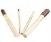 Estee Lauder 2008 Blockbuster Gold Brush Set with Black Cosmetic Case Holiday Travel