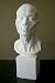 Plaster Casting- Life Sized Human Head and Neck