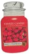 Yankee Candle Car Jar Hanging Air Freshener Sweet Strawberry Scent