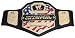 WWE United States Championship Belt_s-1