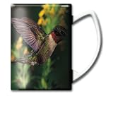 Impact Photographics Mug 14 Ounce Ruby Throated Humbird Gorgeous Photo