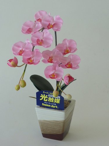 胡蝶蘭 ピンク Sサイズ 1本 光触媒造花の国内生産品 24時間効果持続のダブルコーティング 