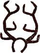 Reindeer Antlers