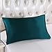 OOSILK 100% Mulberry Silk Pillowcase for Wrinkles Queen 20in x 30in, 1pc, Royal Blue,Gift Wrap