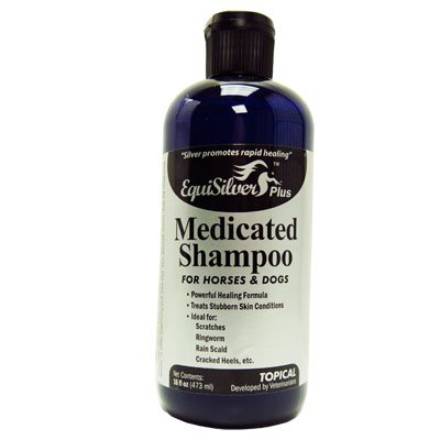 dog skin infection shampoo