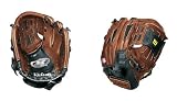 picture of Wilson EZ catch 10" Youth Baseball Glove Plus Ball