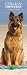 German Shepherds 2009 Slimline Calendar