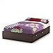 South Shore Furniture 54'' Karma Mates Bed, Full, Chocolate