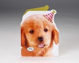 Talking Heads Puppy Surprise Birthday Card