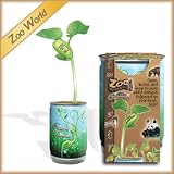 Zoo World Plant - that sprouts to reveal an engraved creature's name on one side of the bean and the creature's drawing on the other side of the bean.