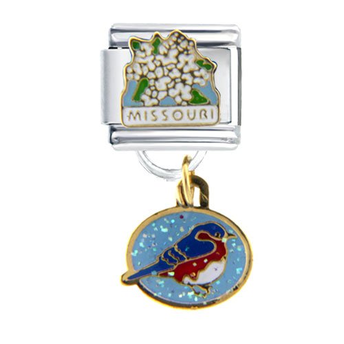 Missouri State Italian Charm Bracelet Bracelet Link