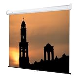 New - Draper Luma Manual Wall and Ceiling Projection Screen - DP8136