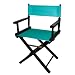 Teal Black Frame Director s Chair