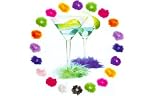 Feather Glass Slips
