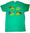 Teenage Mutant Ninja Turtles TMNT Heads T-Shirt