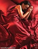 Kitchen & Housewares : RED Satin Double Size Bedding, Quilt Duvet Cover, Sheet Set