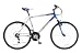 Search : Townsend Massif Men's Front Suspension Mountain Bike - 20 Inch, Silver/Blue
