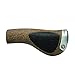 Ergon GP1 BioKork Grips