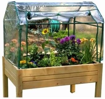 Selected Eden Raised Mini Greenhouse By Riverstone Industries