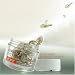 UNT Pearl White Intensive Capsules