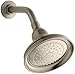 Kohler K-10590-BV Bancroft Single-Function Showerhead, Vibrant Brushed Bronze