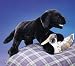 Folkmanis Puppet Black Lab Puppy