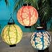 LUAU party ~ 3 pc set Light up HIBISCUS Lantern LIGHTS