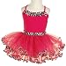 Toddler Girls Clothing PINK ZEBRA Dance Leotard Tutu REFLECTIONZ Girl 2T