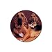 Bloodhound Rubber Round Coaster (4 pack)