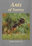 Ants of Surrey