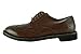 Cole Haan Men's Phinney Wingtip Oxford