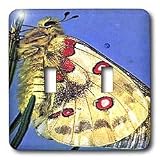 Butterflies - Beautiful Moth - Light Switch Covers - double toggle switch