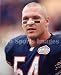 Brian Urlacher Chicago Bears 8x10 Photo