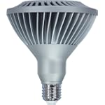 GE 61927 20-Watt LED Medium Base 1050-Lumen Outdoor Flood PAR38 Light Bulb, Warm White