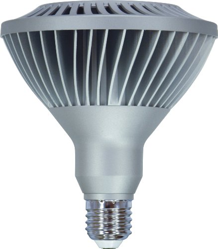 GE 61927 20-Watt LED Medium Base 1050-Lumen Outdoor Flood PAR38 Light Bulb, Warm White