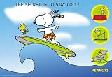 Peanuts - Snoopy Surfing Poster